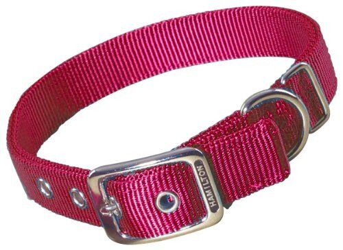 Hamilton Double Thick Nylon Deluxe Dog Collar, 1-inch By 28-inch, Red
