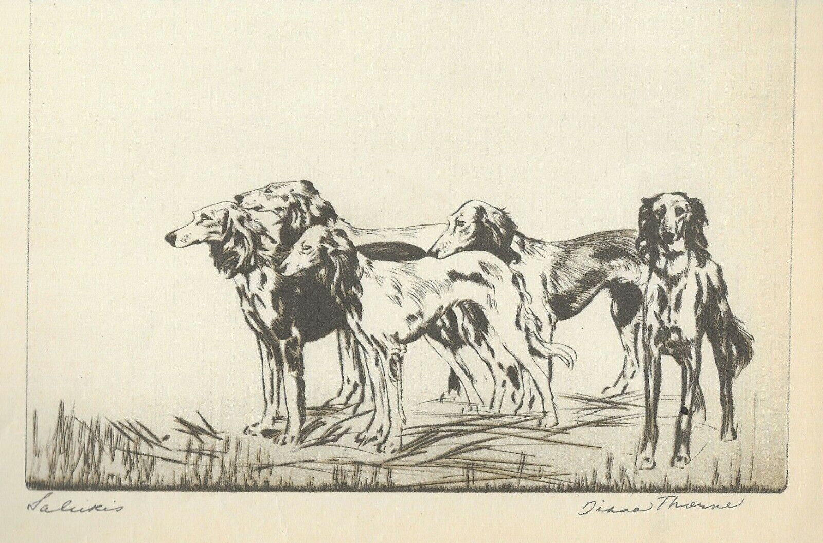 * Saluki - Custom Matted - 1935 Vintage Dog Art Print - Diana Thorne (rare)