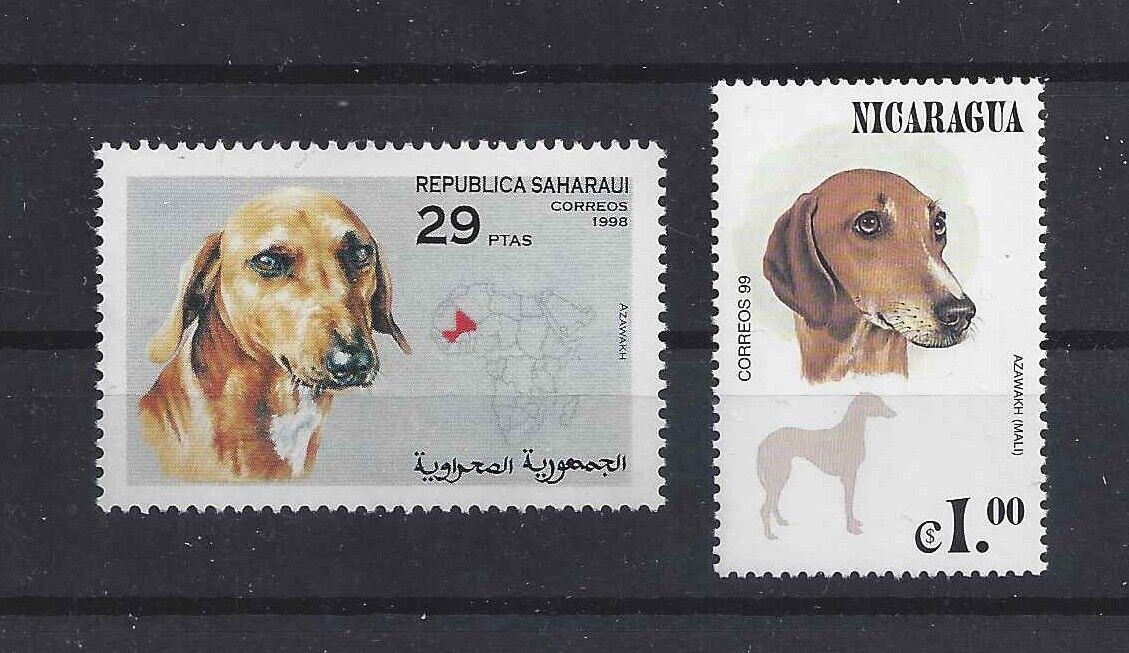 Art Head And Body Study Postage Stamp Collection Azawakh Sloughi Dog 2 X Mnh