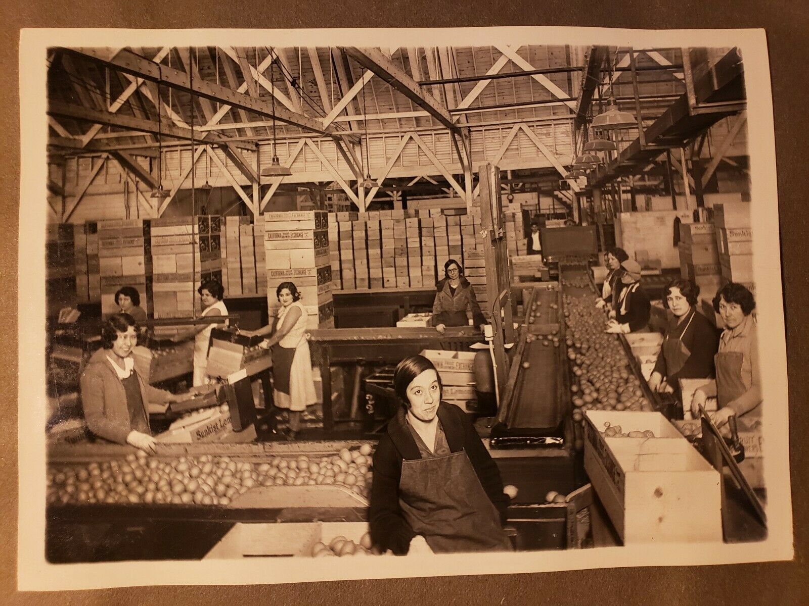 C.1930 San Fernando Lemon Assoc. Orig. Photo Album - Sunkist Lemon Packing Plant