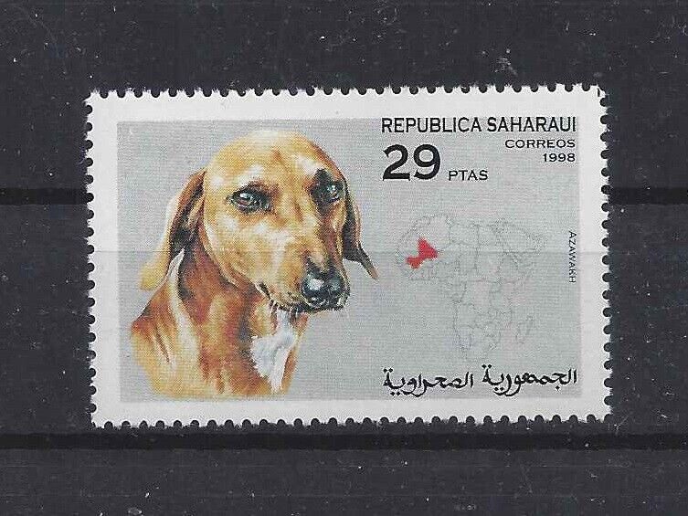 Art Head Study Postage Stamp Azawakh Sloughi Dog Spanish Sahara Africa 1998 Mnh
