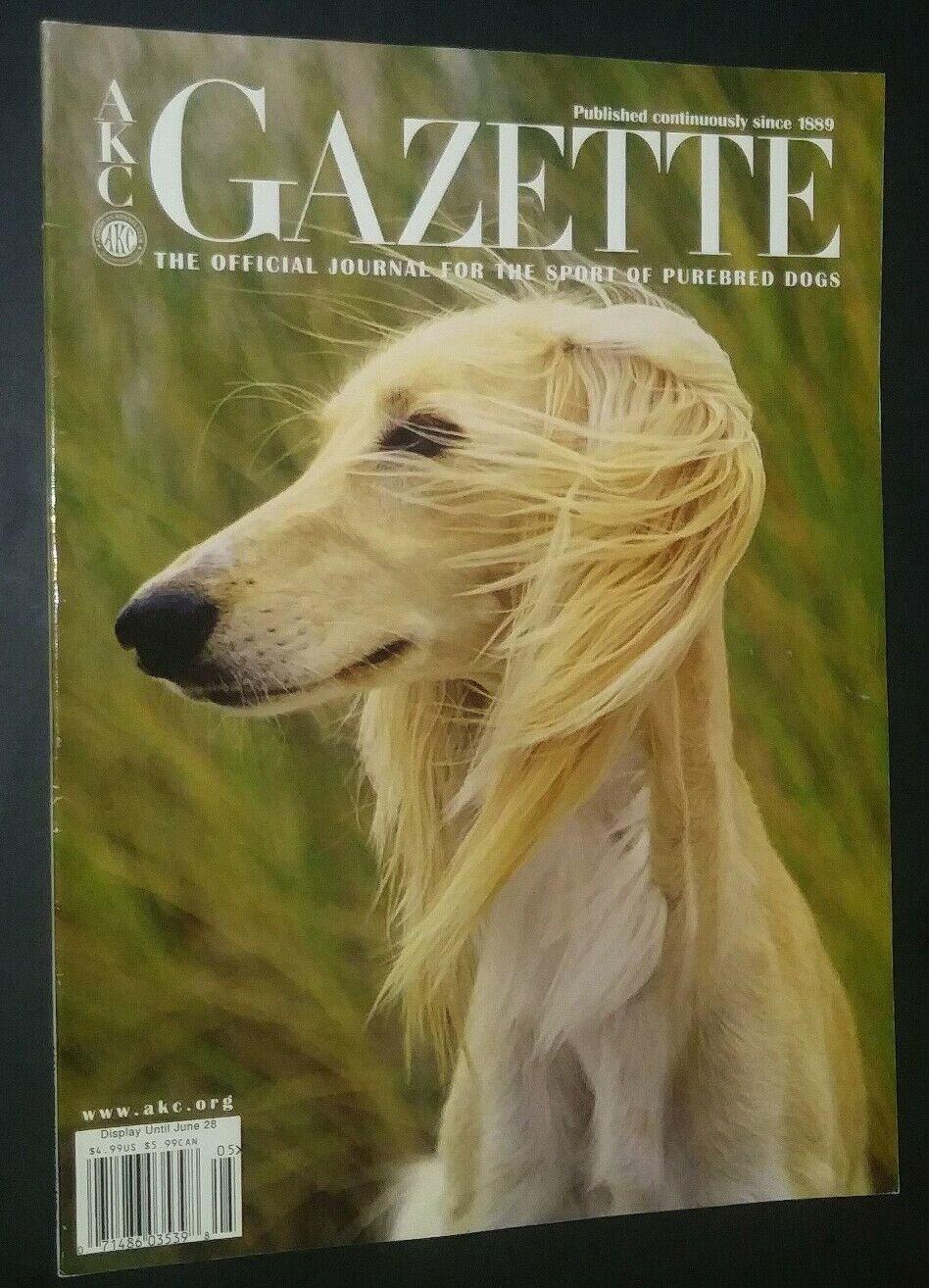Akc Gazette Saluki Cover May 2003 Jack Russell Terrier Trainer Cris Mazza