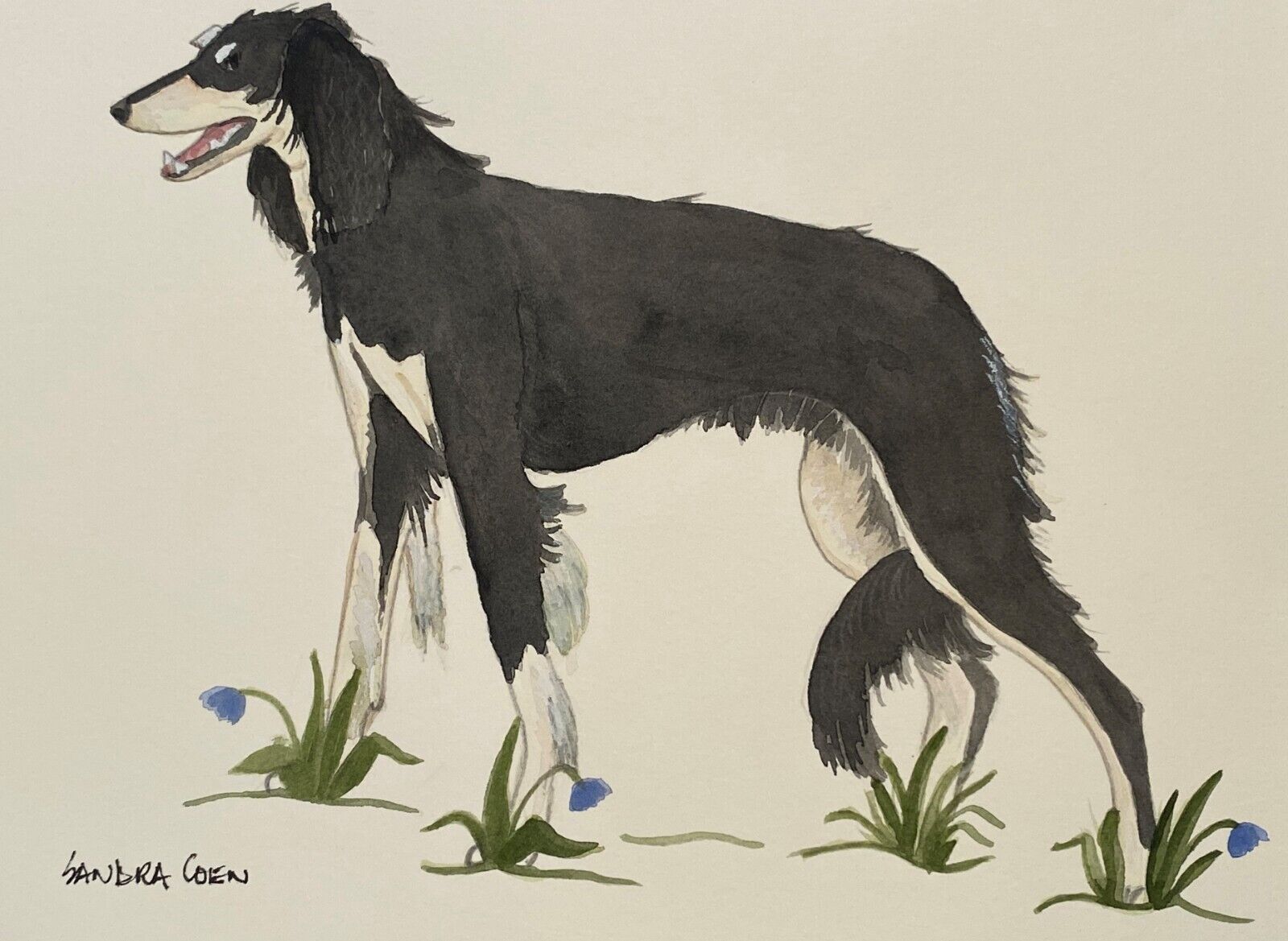 Saluki Original Watercolors By Sandra Coen Black  Standing In Flowers
