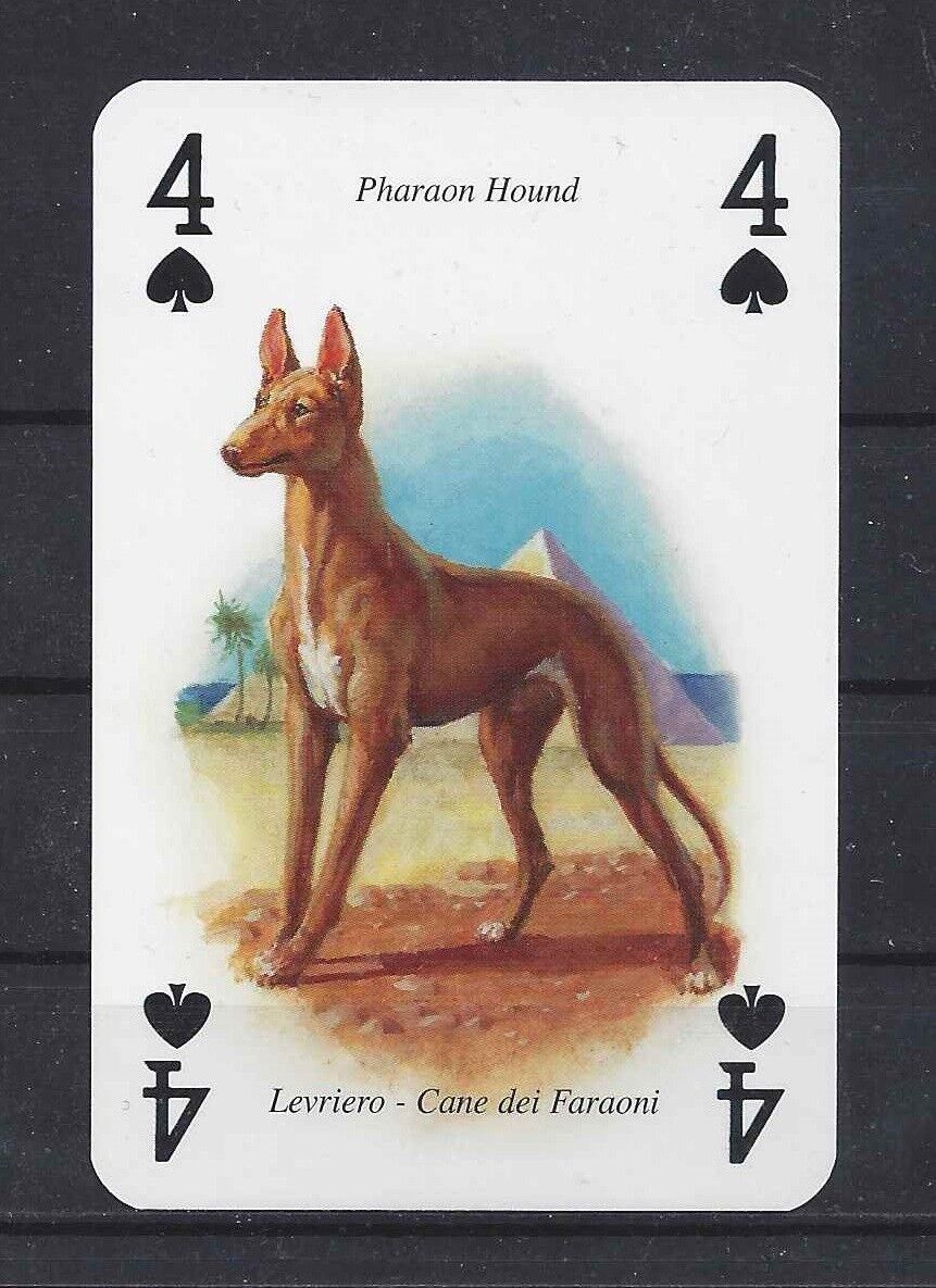 One Single Severino Baraldi Art Europe Playing Card Dog Pharaoh Hound 4 Spades